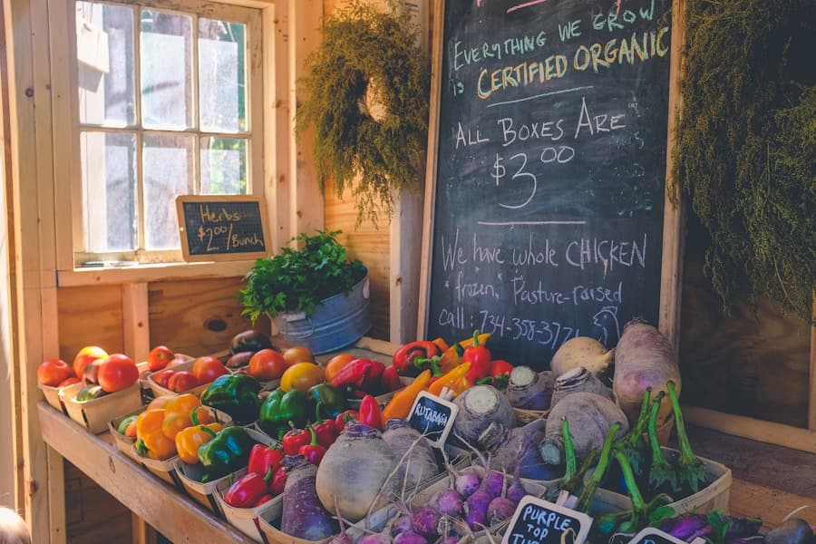 Organic fruit and vegetable ingredients