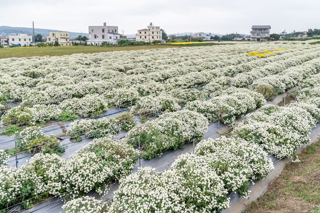 Herbs, Spices & Botanicals