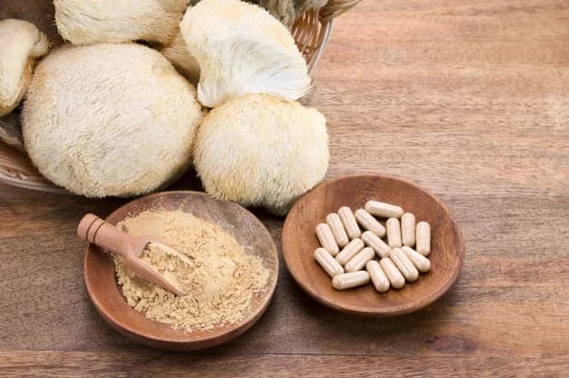 Lion's Mane Mushroom Extract
