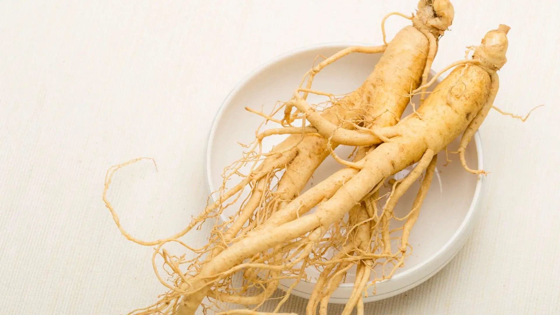 Panax Ginseng
