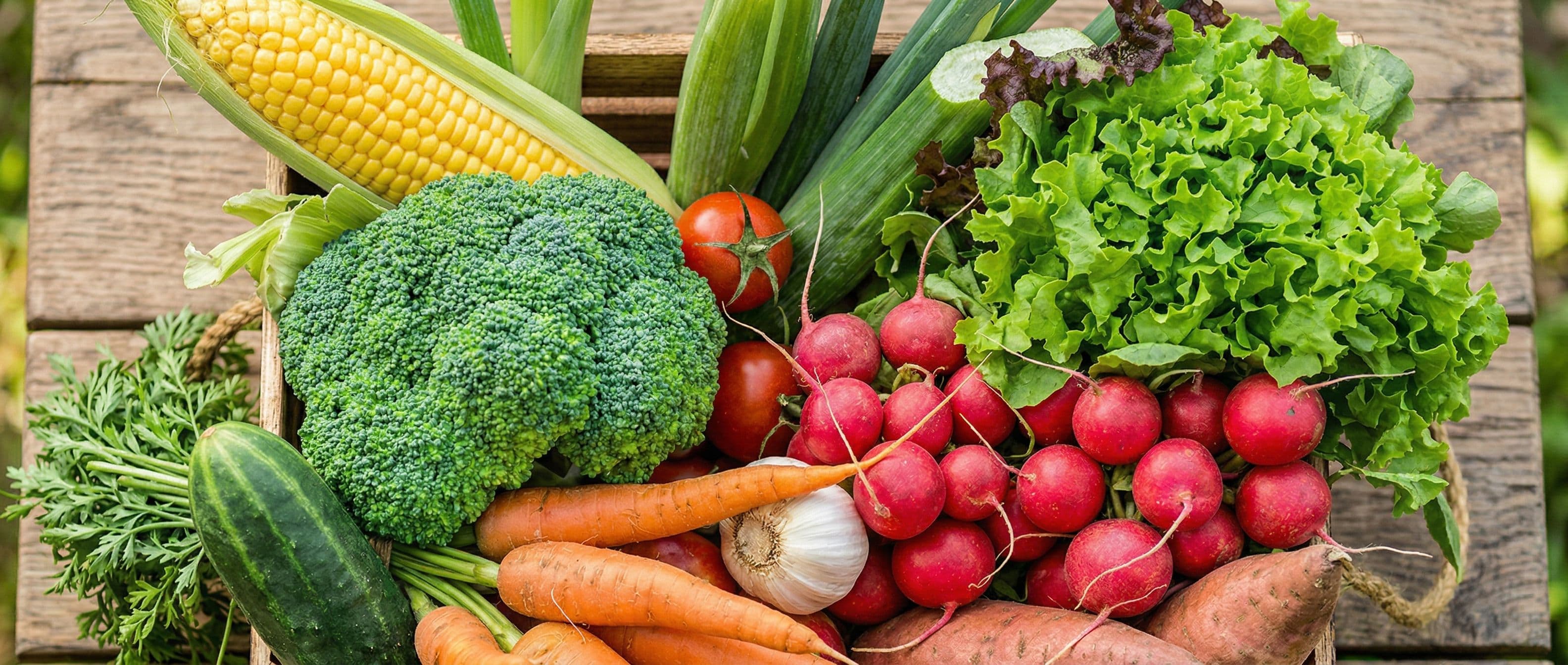 Certified organic farm harvest with fresh produce